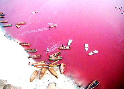 50 Shades of Pink: Le Lac Rose