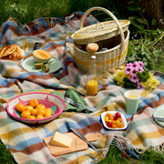 la basketry picnic scene pink and turquoise anne bowl on a colourful blanket filled with clementines