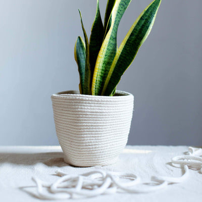 a cotton rope basket bag weaved to make a plant pot. cream rope for diy craft from la basketry
