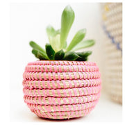 Mini-Basket (with Succulent)