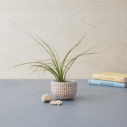 small african baskets with lid-La Basketry